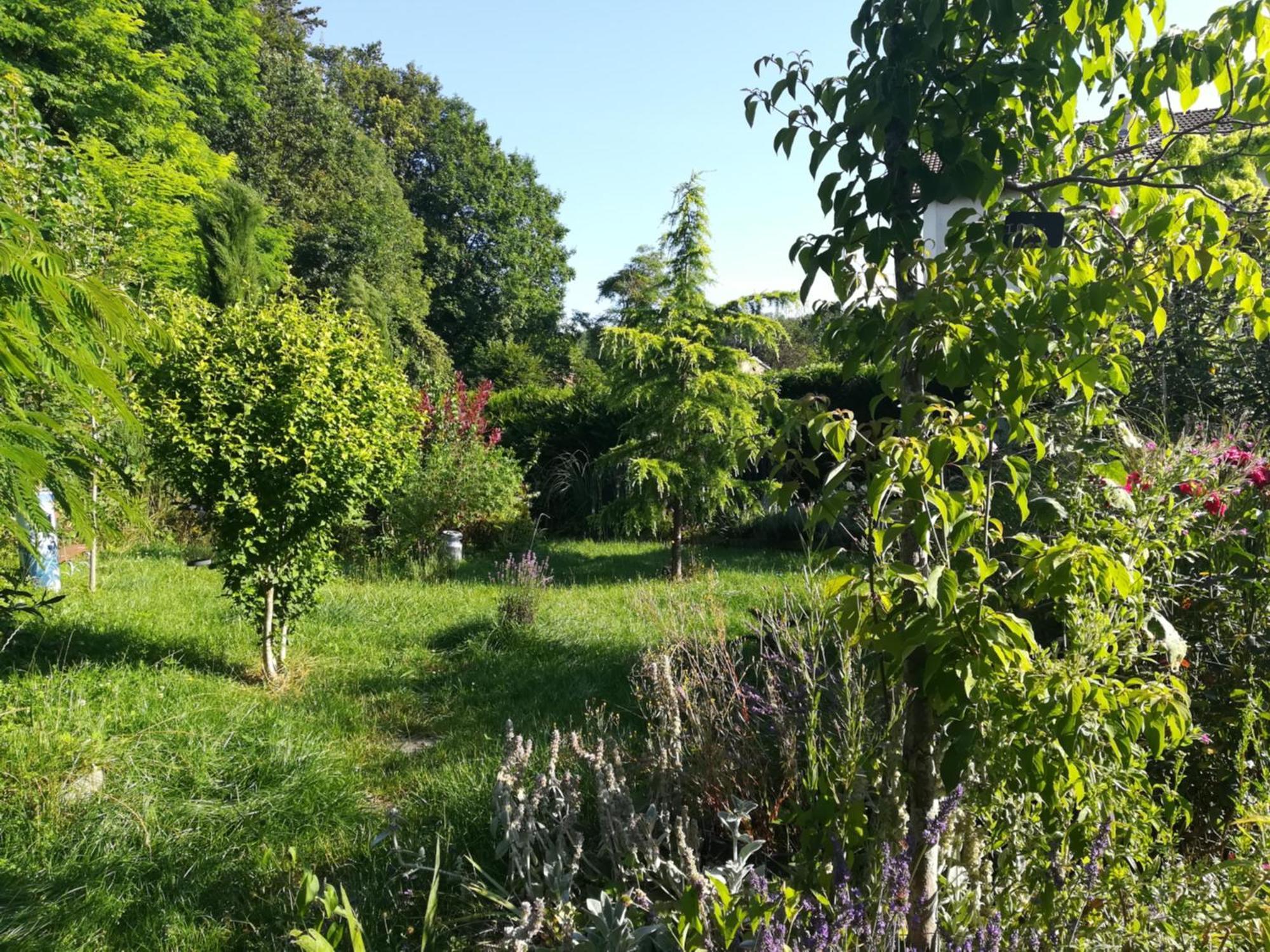 Apiculteur Loue 2 Chambres Dans Cadre Verdoyant Pagny-sur-Meuse Extérieur photo